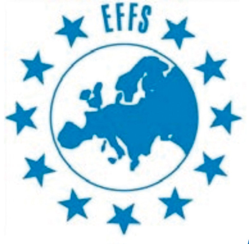 Logo EFFS