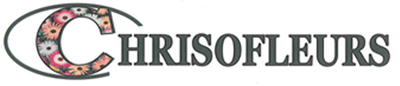 Logo Chrisofleurs 1