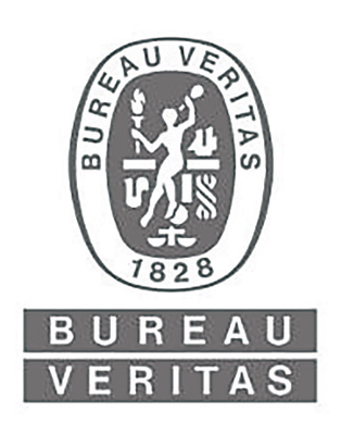 Logo Bureau Veritas 1