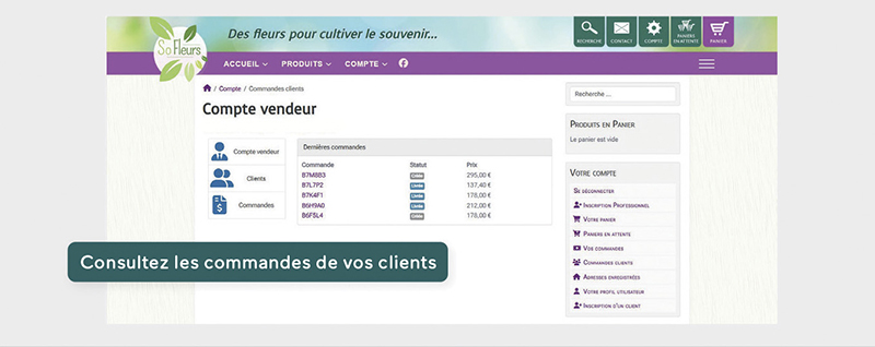 Aperçu de l'interface pro Sofleurs. elements Chrisofleurs com03