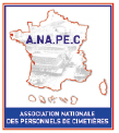 logo anapec2 DEFINITIF fmt