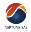 Logo Neptune fmt