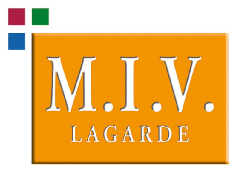 Logo MIV