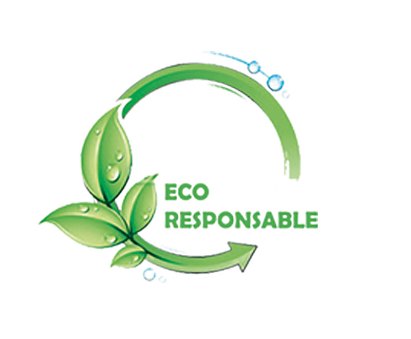 LOGO ECO RESPONSABLE