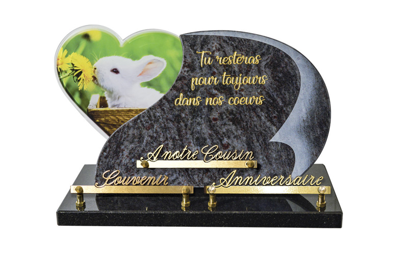 Atout coeur. 7315 AT1