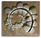 andy goldsworthy.galet fmt