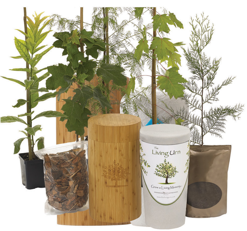 Composition du set "Plant urn". Plant Urn composition du set